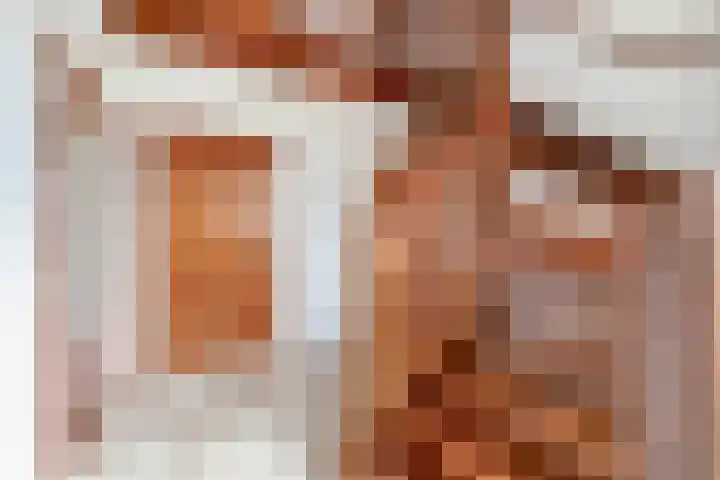 Vrijedijk 11 IJzendijke thumbnail 10