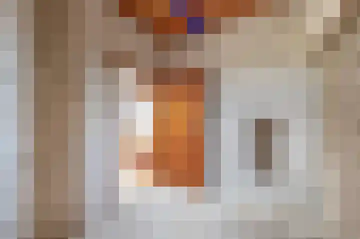 Vrijedijk 11 IJzendijke thumbnail 12