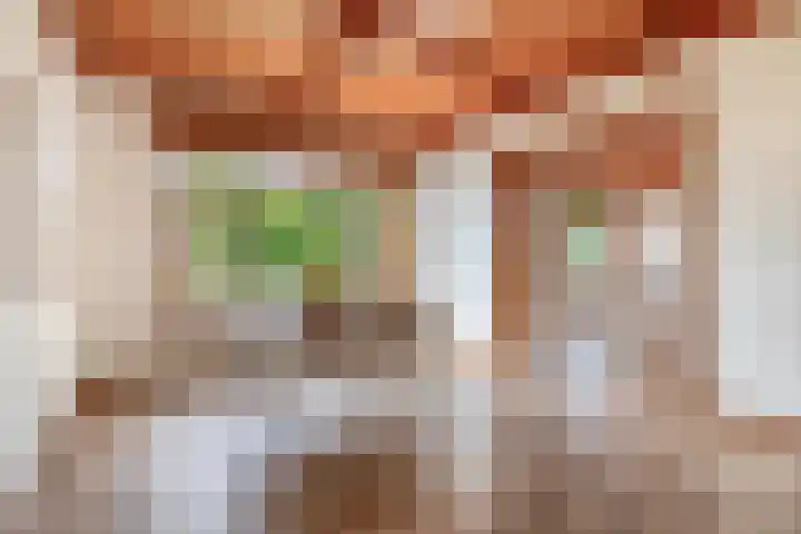 Vrijedijk 11 IJzendijke thumbnail 14