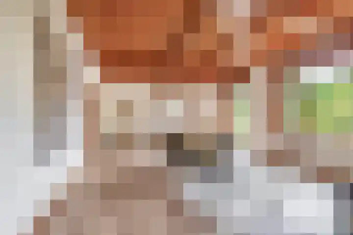Vrijedijk 11 IJzendijke thumbnail 19