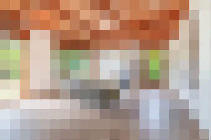 Vrijedijk 11 IJzendijke thumbnail 21