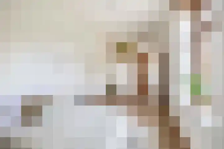 Vrijedijk 11 IJzendijke thumbnail 23