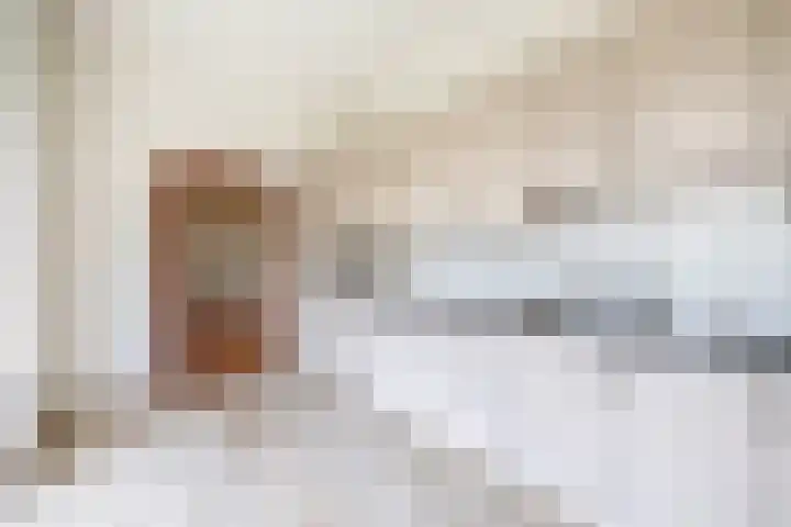 Vrijedijk 11 IJzendijke thumbnail 24