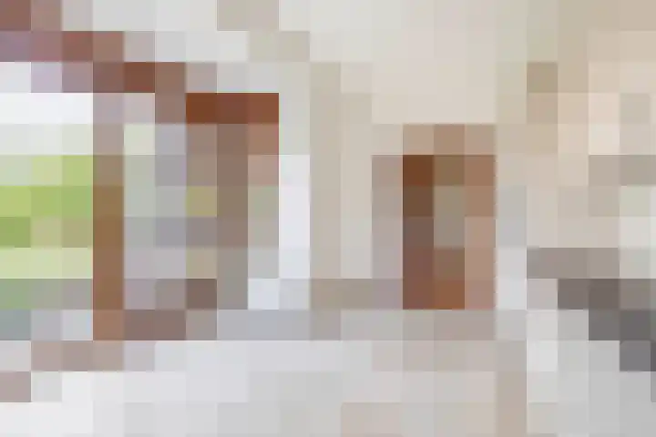 Vrijedijk 11 IJzendijke thumbnail 28