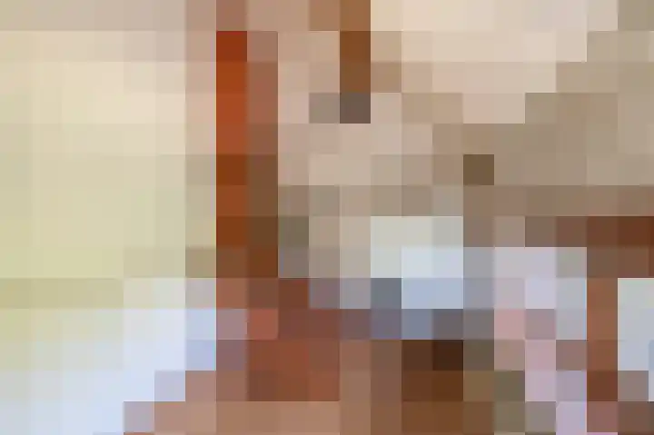 Vrijedijk 11 IJzendijke thumbnail 33