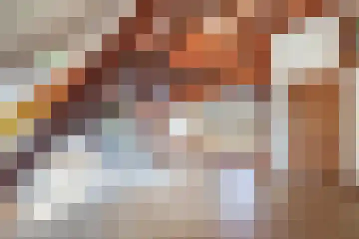 Vrijedijk 11 IJzendijke thumbnail 35