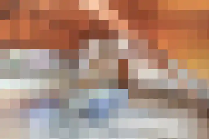 Vrijedijk 11 IJzendijke thumbnail 36