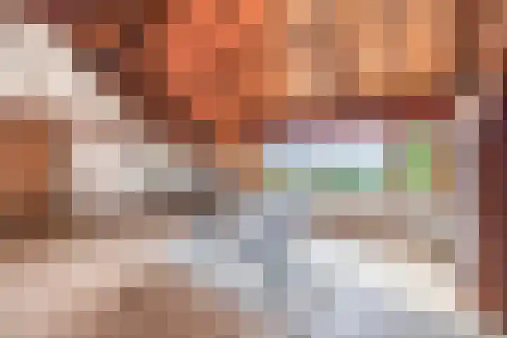 Vrijedijk 11 IJzendijke thumbnail 37