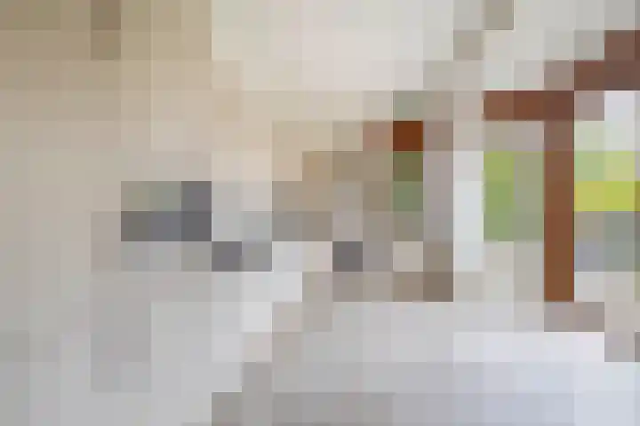 Vrijedijk 11 IJzendijke thumbnail 4