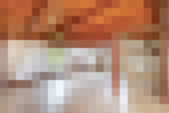 Vrijedijk 11 IJzendijke thumbnail 41