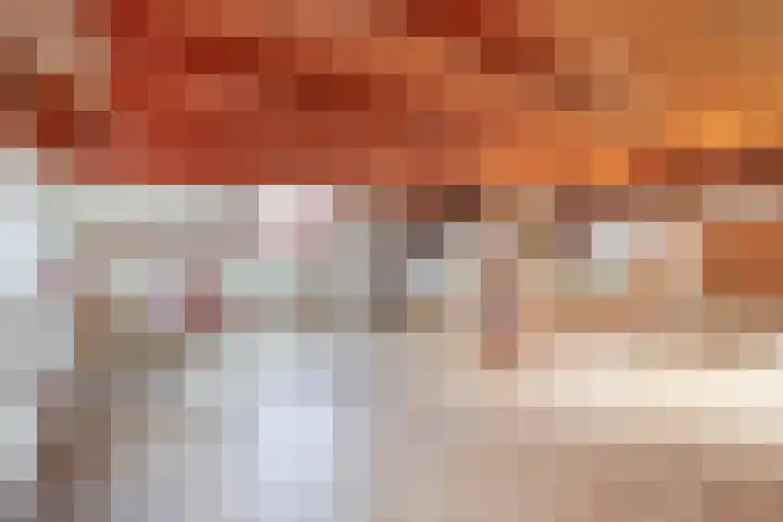 Vrijedijk 11 IJzendijke thumbnail 42