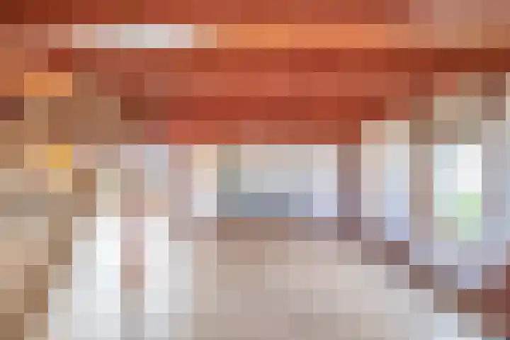 Vrijedijk 11 IJzendijke thumbnail 43