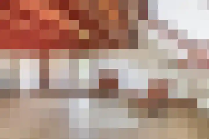 Vrijedijk 11 IJzendijke thumbnail 44