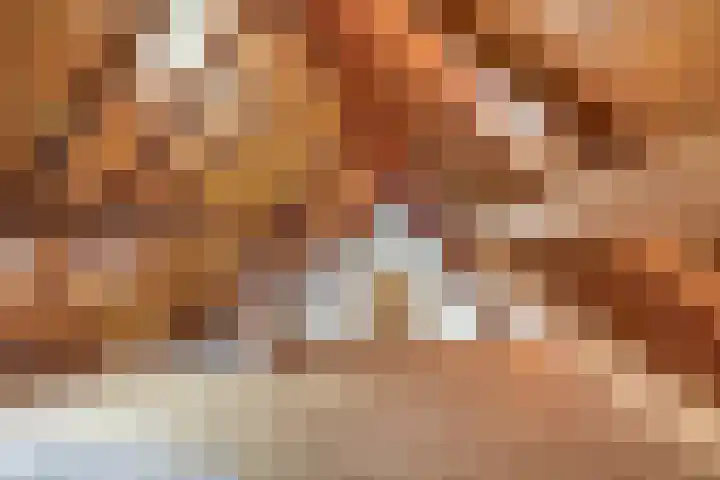 Vrijedijk 11 IJzendijke thumbnail 46