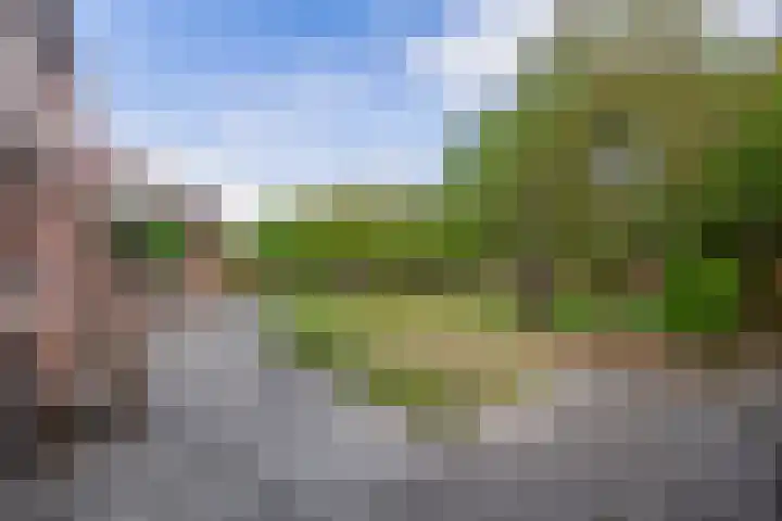Vrijedijk 11 IJzendijke thumbnail 51