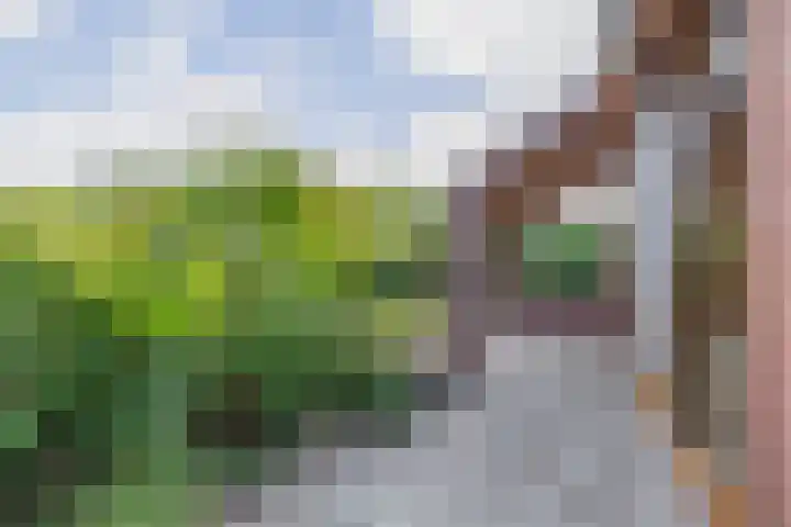 Vrijedijk 11 IJzendijke thumbnail 52