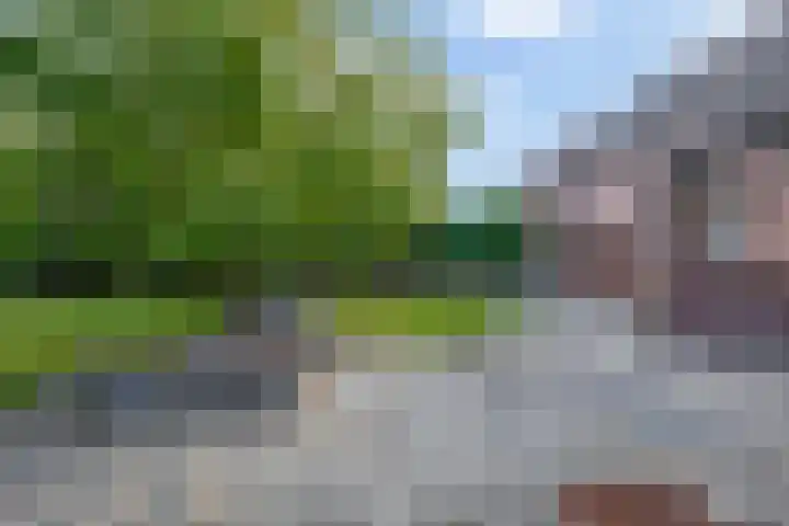 Vrijedijk 11 IJzendijke thumbnail 53