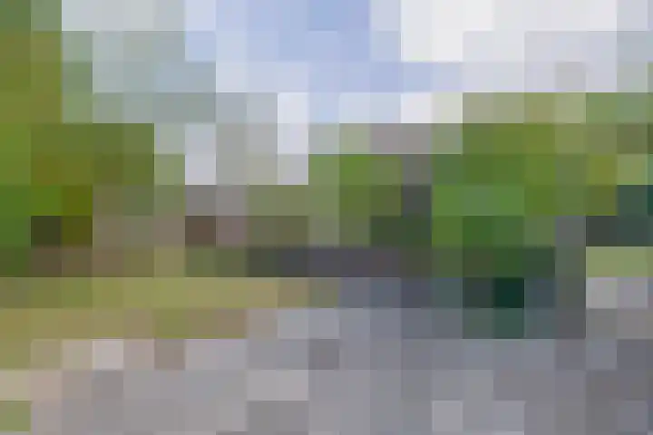 Vrijedijk 11 IJzendijke thumbnail 55