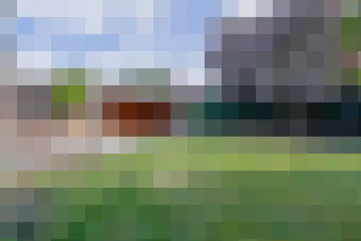 Vrijedijk 11 IJzendijke thumbnail 56