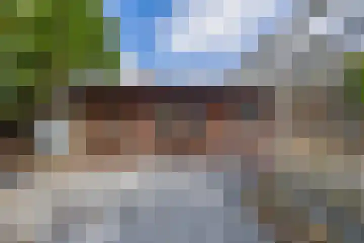 Vrijedijk 11 IJzendijke thumbnail 57