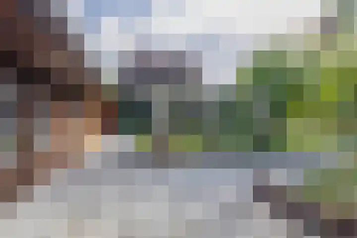 Vrijedijk 11 IJzendijke thumbnail 58