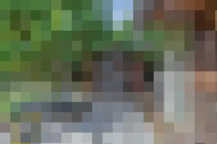 Vrijedijk 11 IJzendijke thumbnail 59