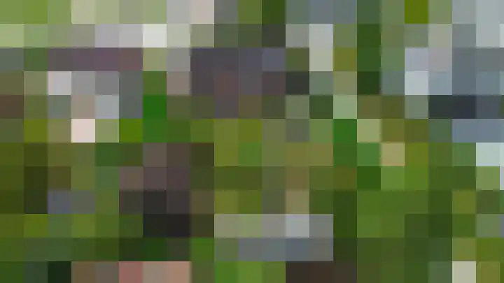 Vrijedijk 11 IJzendijke thumbnail 6
