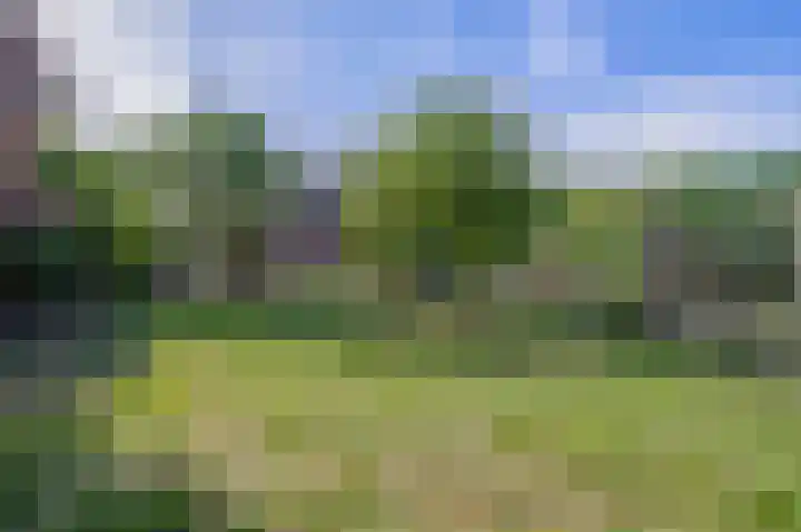 Vrijedijk 11 IJzendijke thumbnail 60