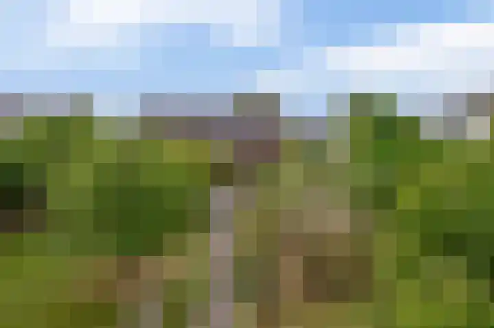 Vrijedijk 11 IJzendijke thumbnail 61