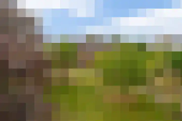 Vrijedijk 11 IJzendijke thumbnail 62