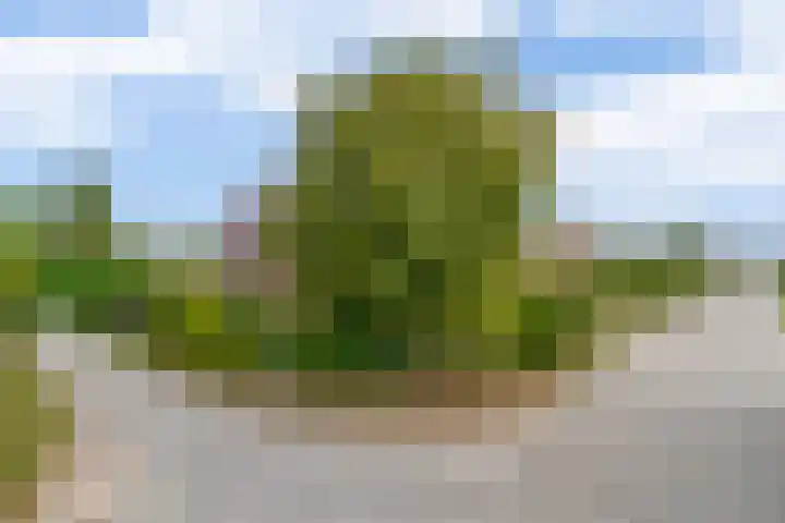 Vrijedijk 11 IJzendijke thumbnail 63