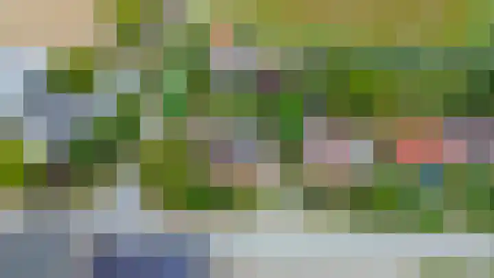 Vrijedijk 11 IJzendijke thumbnail 64