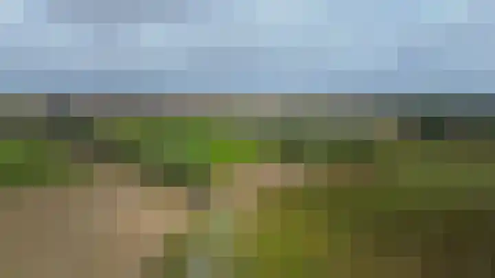 Vrijedijk 11 IJzendijke thumbnail 65