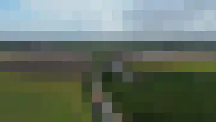 Vrijedijk 11 IJzendijke thumbnail 66