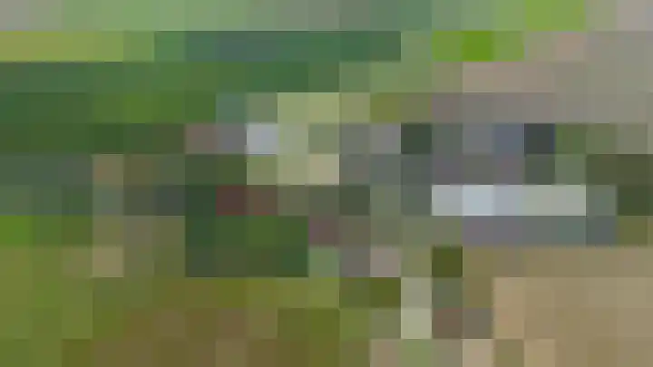 Vrijedijk 11 IJzendijke thumbnail 67