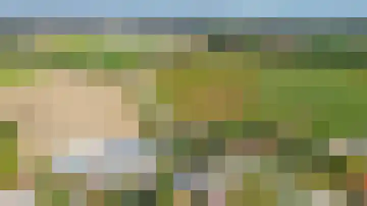 Vrijedijk 11 IJzendijke thumbnail 68