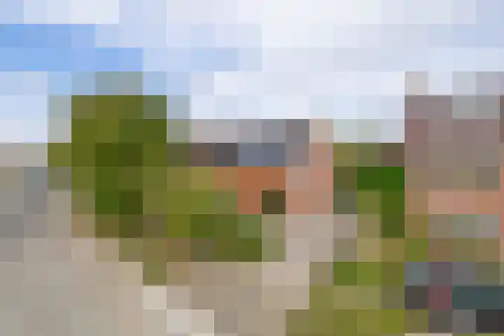 Vrijedijk 11 IJzendijke thumbnail 7