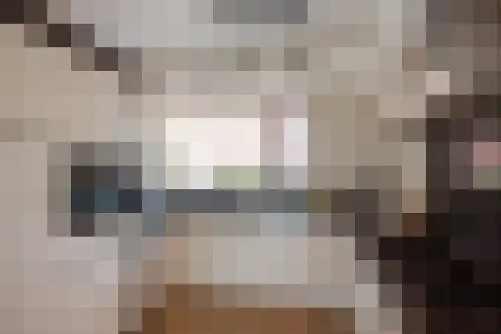 Vrijenban 47 Delfgauw thumbnail 11