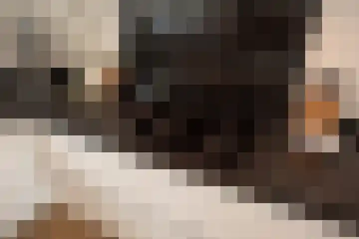 Vrijenban 47 Delfgauw thumbnail 12
