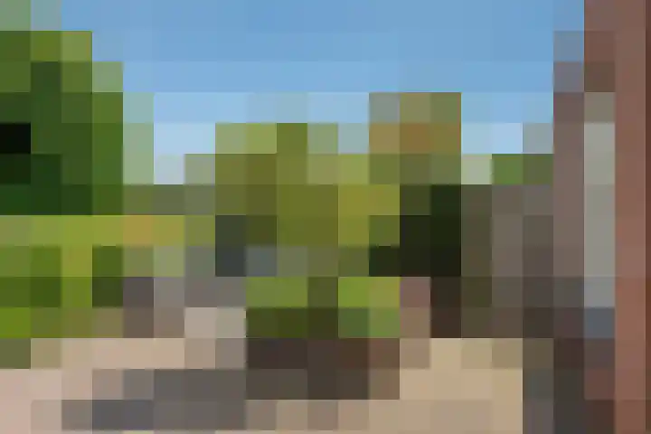 Vrijenban 47 Delfgauw thumbnail 22