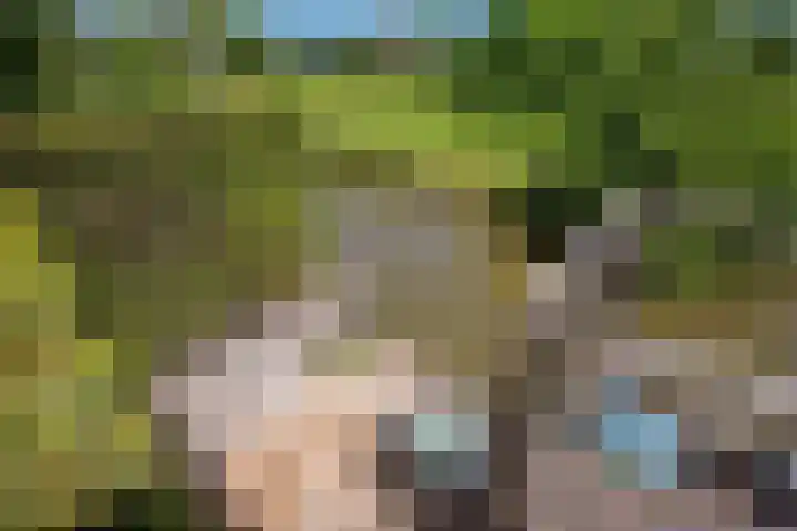 Vrijenban 47 Delfgauw thumbnail 23