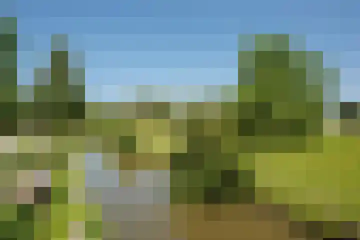Vrijenban 47 Delfgauw thumbnail 25