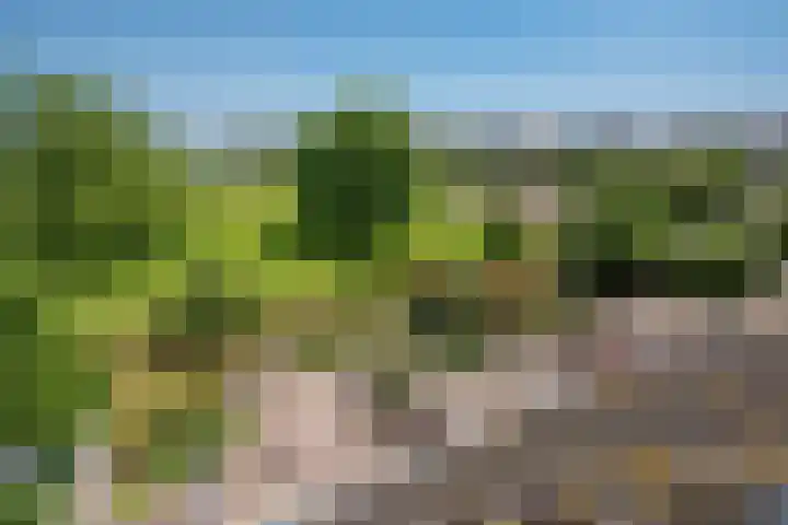 Vrijenban 47 Delfgauw thumbnail 27