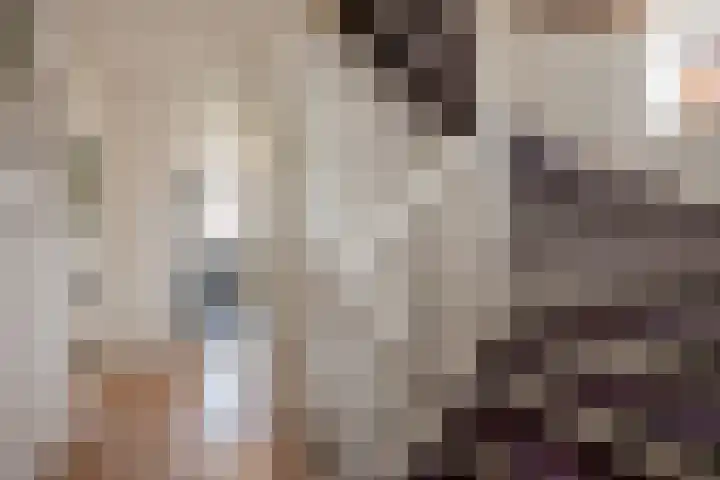 Vrijenban 47 Delfgauw thumbnail 29