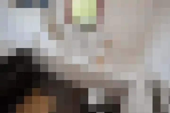 Vrijenban 47 Delfgauw thumbnail 36