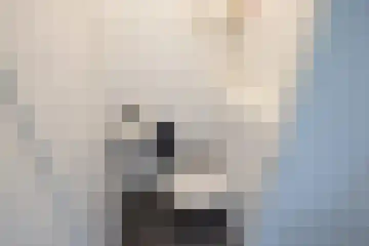 Vrijenban 47 Delfgauw thumbnail 38