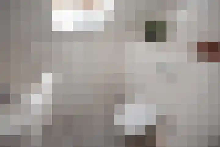 Vrijenban 47 Delfgauw thumbnail 46