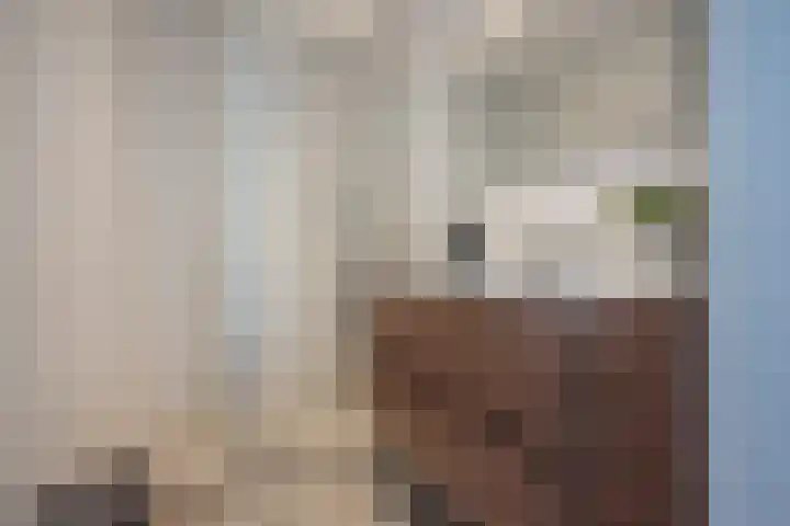 Vrijenban 47 Delfgauw thumbnail 47