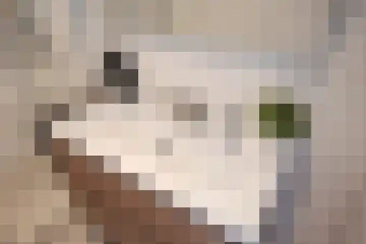 Vrijenban 47 Delfgauw thumbnail 48