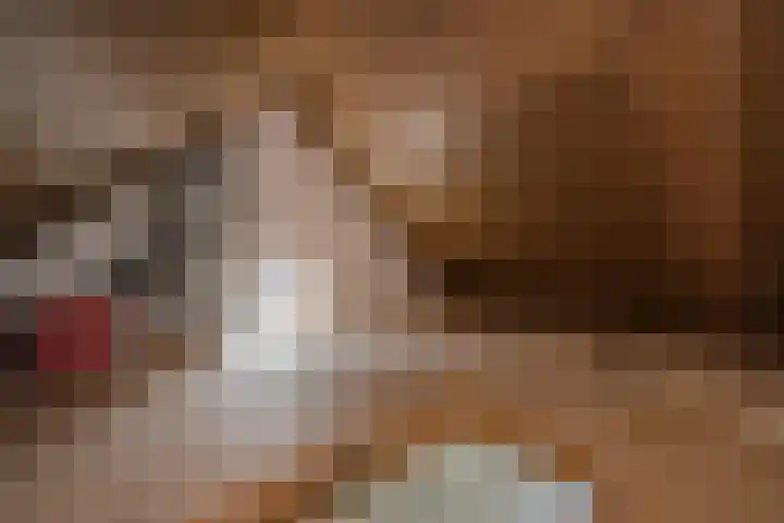 Vrijenban 47 Delfgauw thumbnail 49